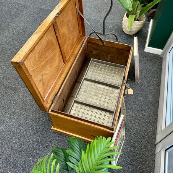 Chest 2 copy